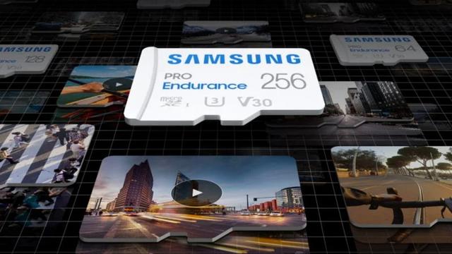 PRO Endurance microSD Cards