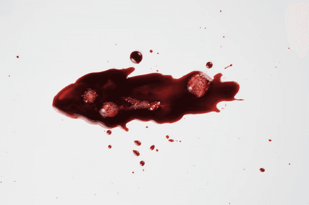 Charlie Kirk Fatally Shot at Utah Valley University