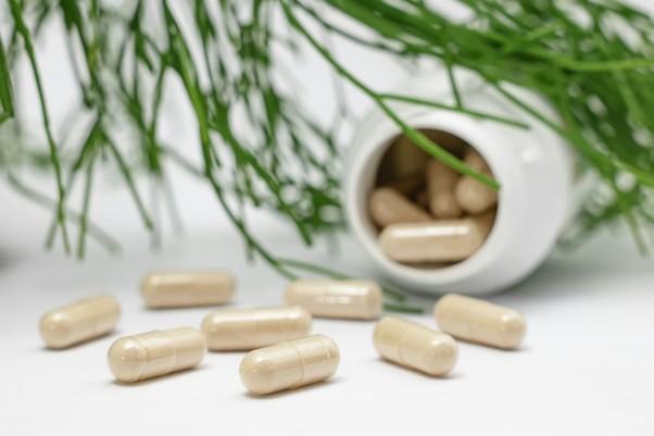 Global Synbiotic Supplements Market is going to be over $1.6 Billion by 2032 with 7.18% CAGR Growth