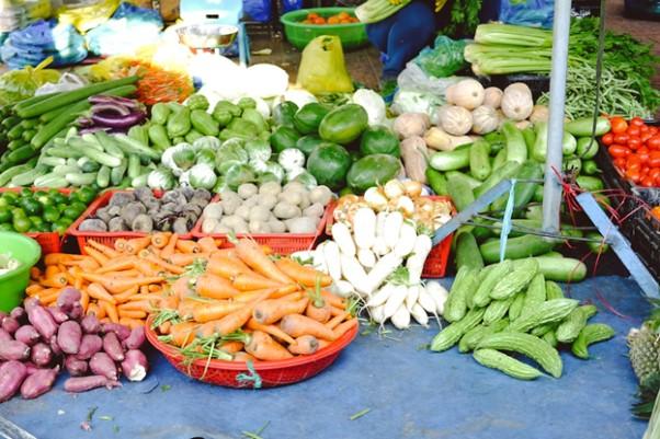 Kimbo Fund’s Convertible Debt Investment Aims to Scale Angola’s FoodCare Exports