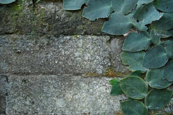 Performance Advances from a Recent ERP System for Midwest Groundcovers