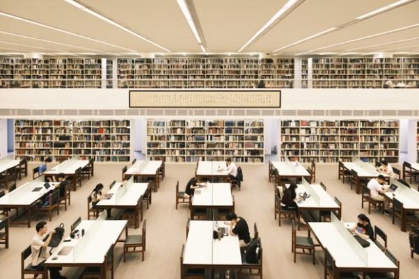 World Bank AI Report: The Shocking Skills Gap That Could Leave Millions Behind in the AI Era
