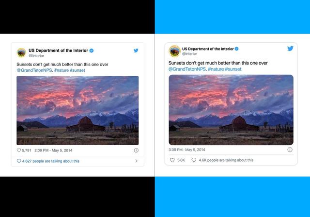 Embedded Tweets