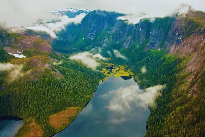 alaska-sues-us-government-over-tongass-forest-protection