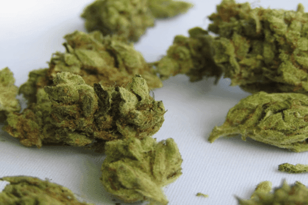 Sussex County Moves Toward Relaxing Marijuana Store Restrictions