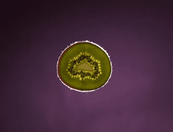 West Nile Virus Detected in Philadelphia: Health Officials Urge Public Precautions