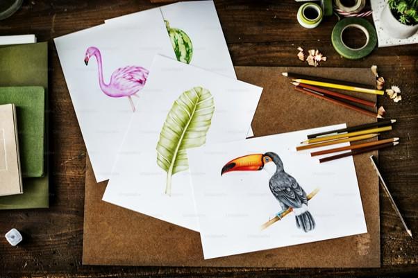 Splat App Transforms Photos Into Coloring Pages Using AI